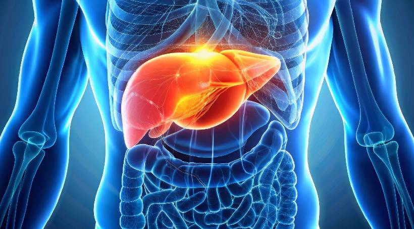 Liver Disease Care in Manjari Pune