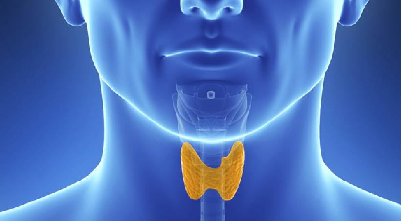 Thyroid Specialist in Manjari Pune